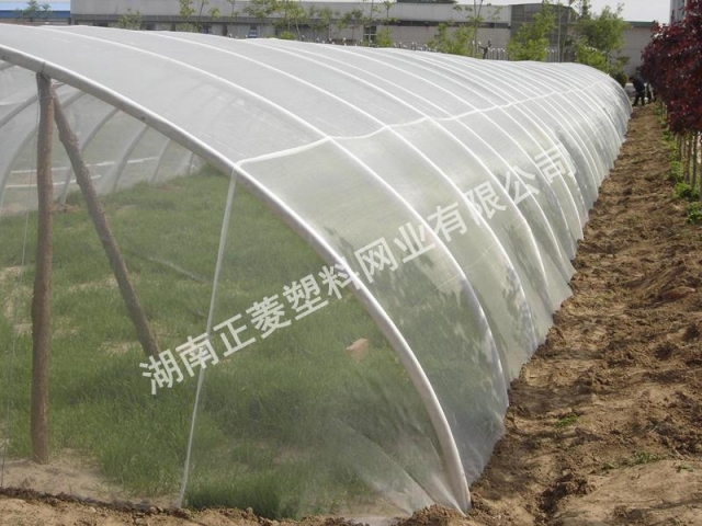 河北石家莊訂購(gòu)草藥防蟲網(wǎng)案例