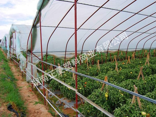 湖南岳陽(yáng)華容縣蔬菜種植基地訂購(gòu)防蟲網(wǎng)案例